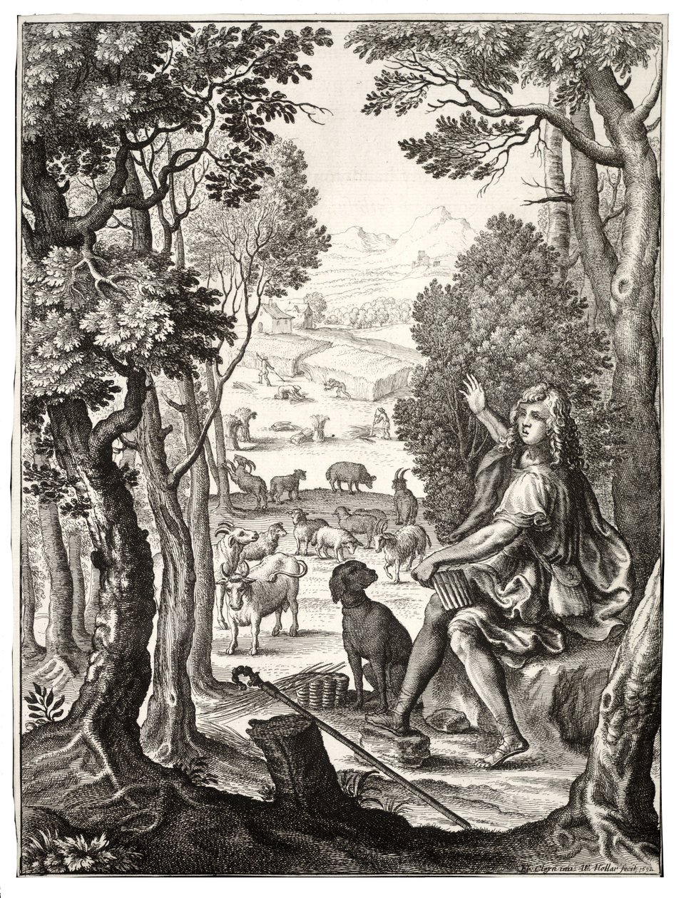 Alexis autorstwa Wenceslaus Hollar