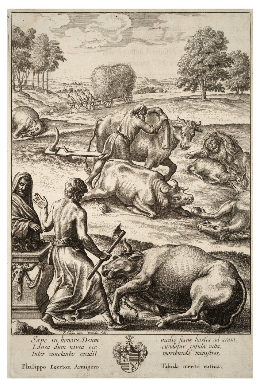 Plaga bydła. Stan 2 autorstwa Wenceslaus Hollar