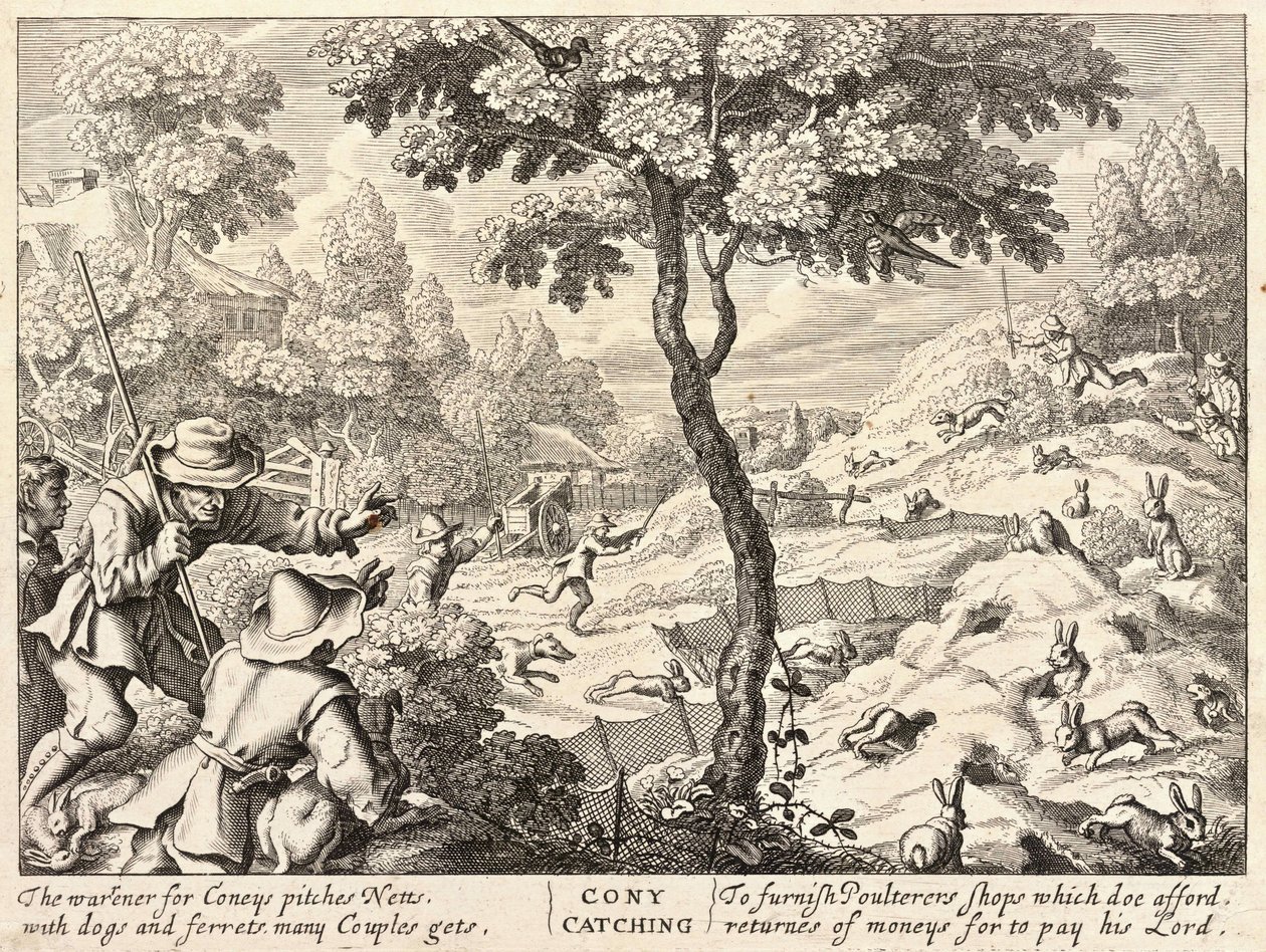 Połów na Coney autorstwa Wenceslaus Hollar