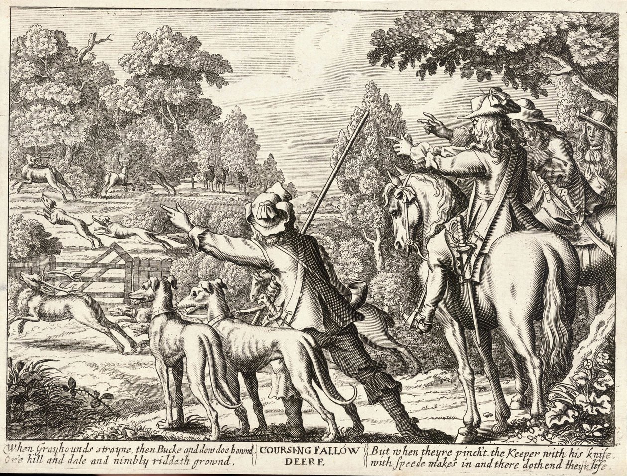 Daniel hodowlany autorstwa Wenceslaus Hollar