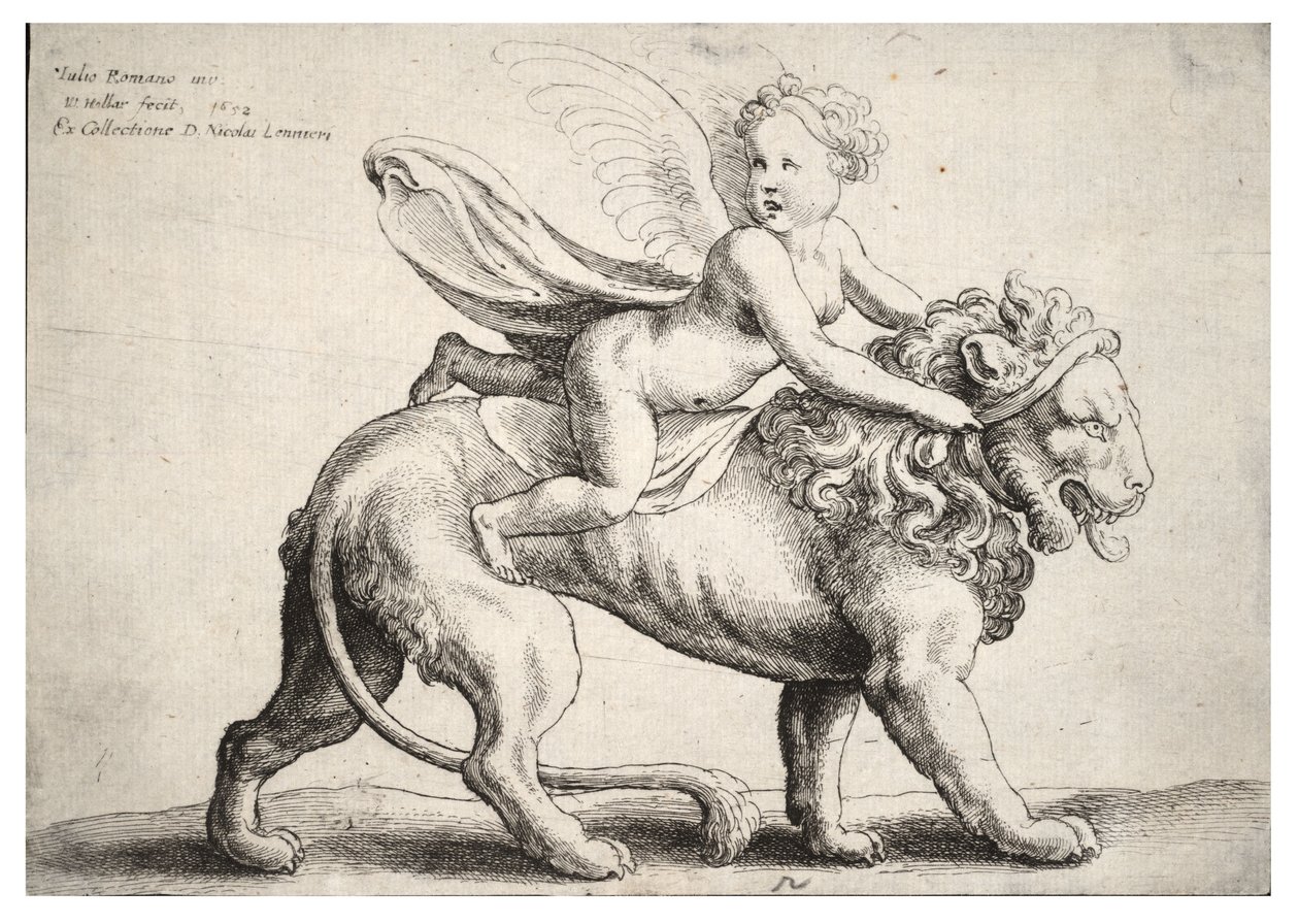 Kupidyn na lwie, wg Giulio Romano autorstwa Wenceslaus Hollar