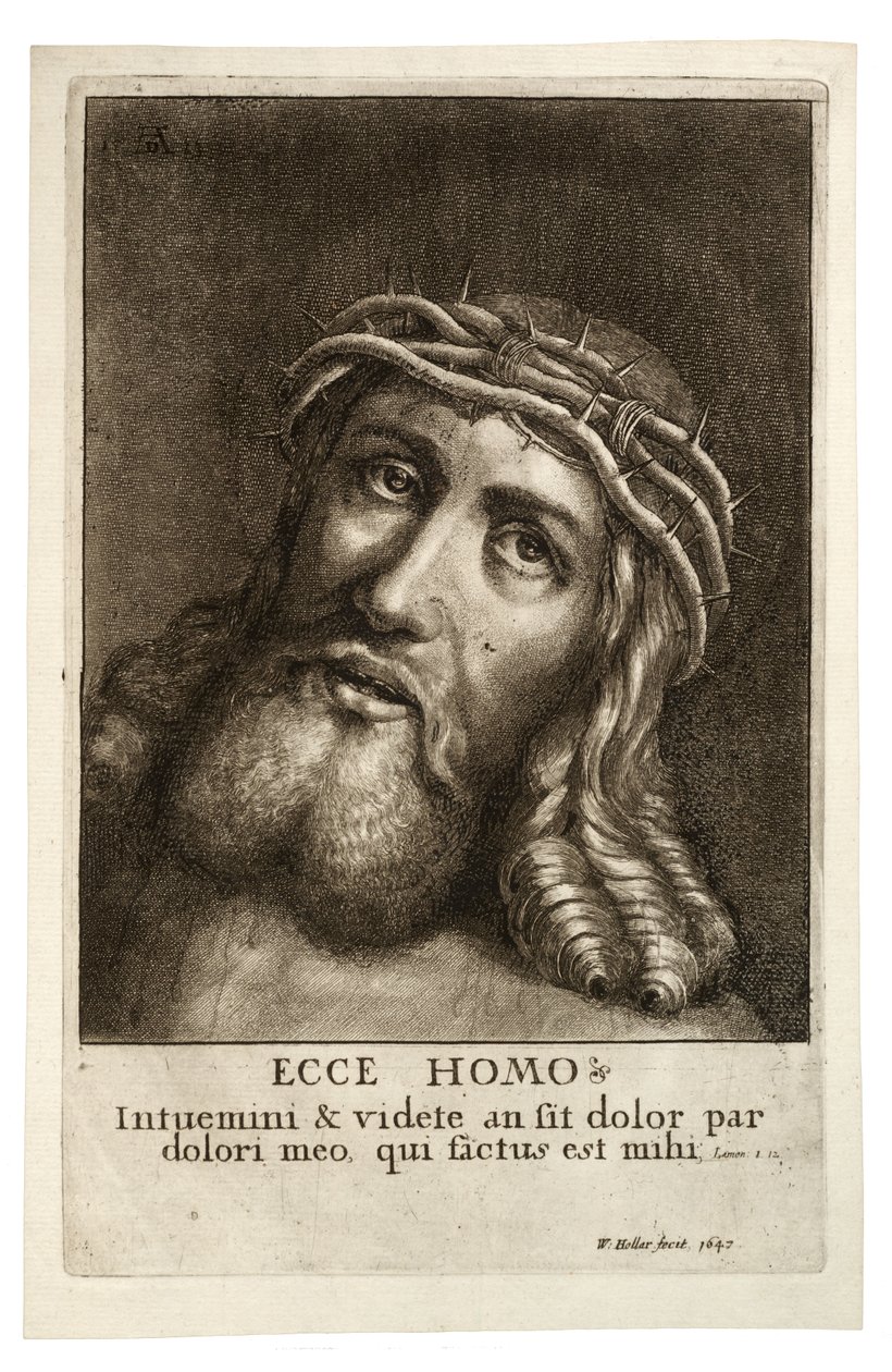 Oto mężczyzna. Stan 2 autorstwa Wenceslaus Hollar