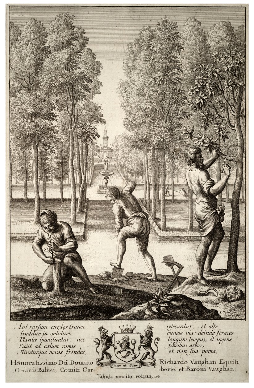 Ogrodnictwo. Państwo 1 autorstwa Wenceslaus Hollar