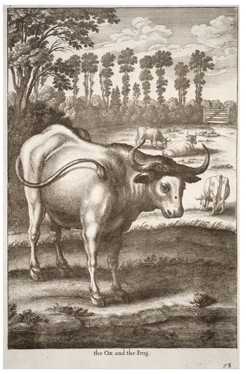 Wół i żaba autorstwa Wenceslaus Hollar