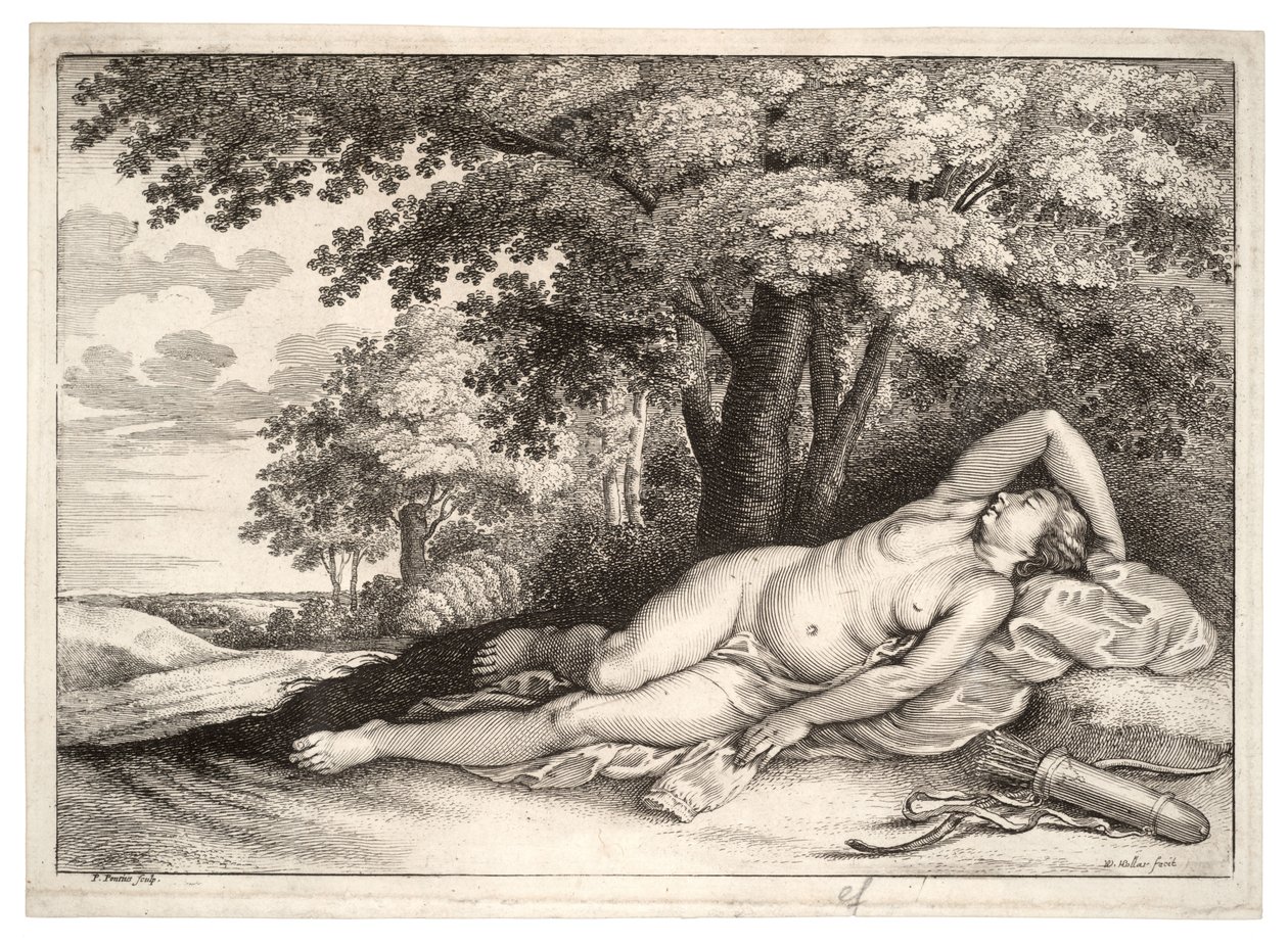 Śpiąca łowczyni. Stan 2 autorstwa Wenceslaus Hollar