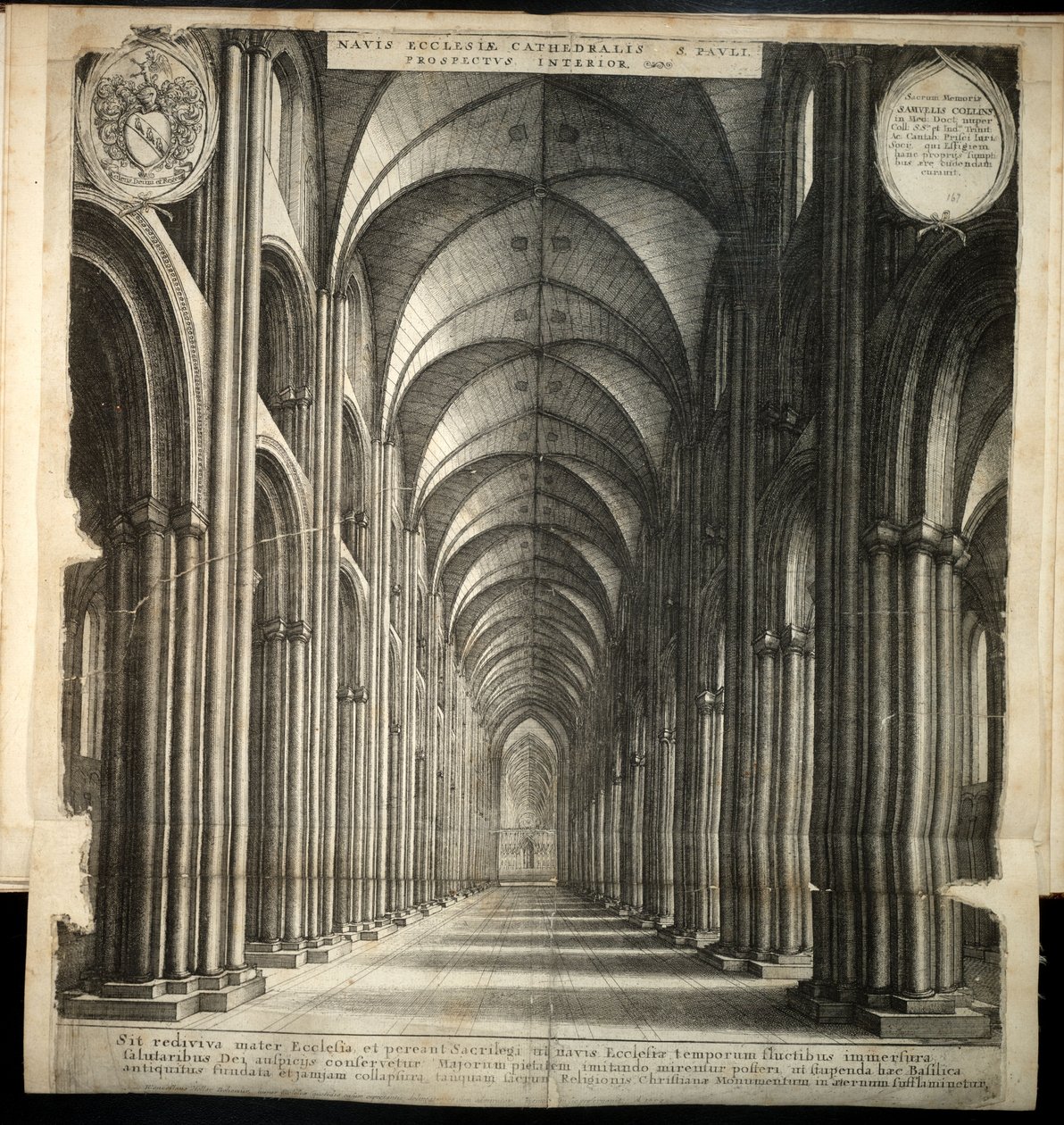 Świętego Pawła. Nawa. Stan 1 autorstwa Wenceslaus Hollar