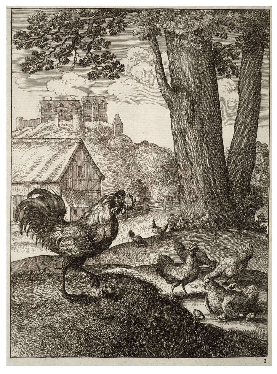 Kogut i klejnot autorstwa Wenceslaus Hollar