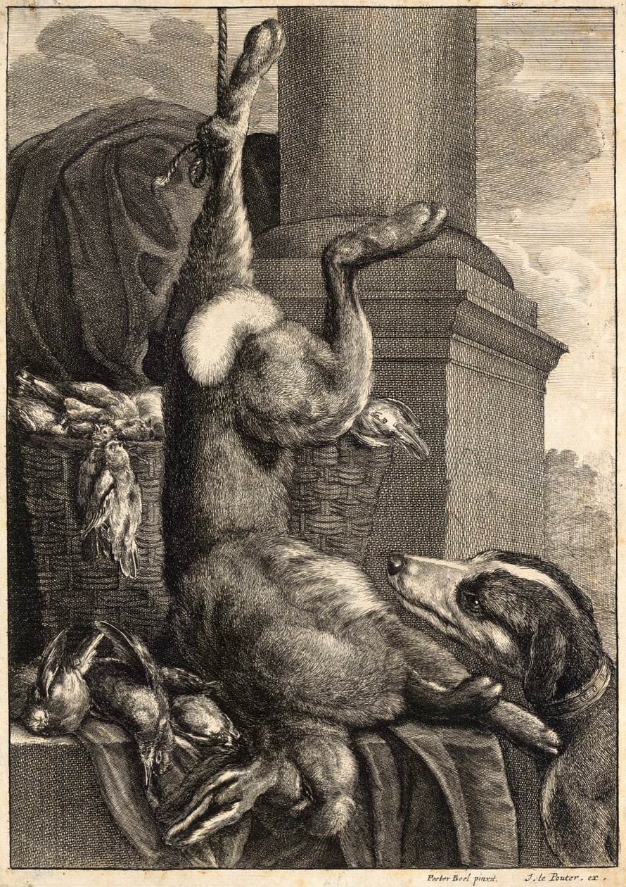 Martwy zając. Stan 2 autorstwa Wenceslaus Hollar