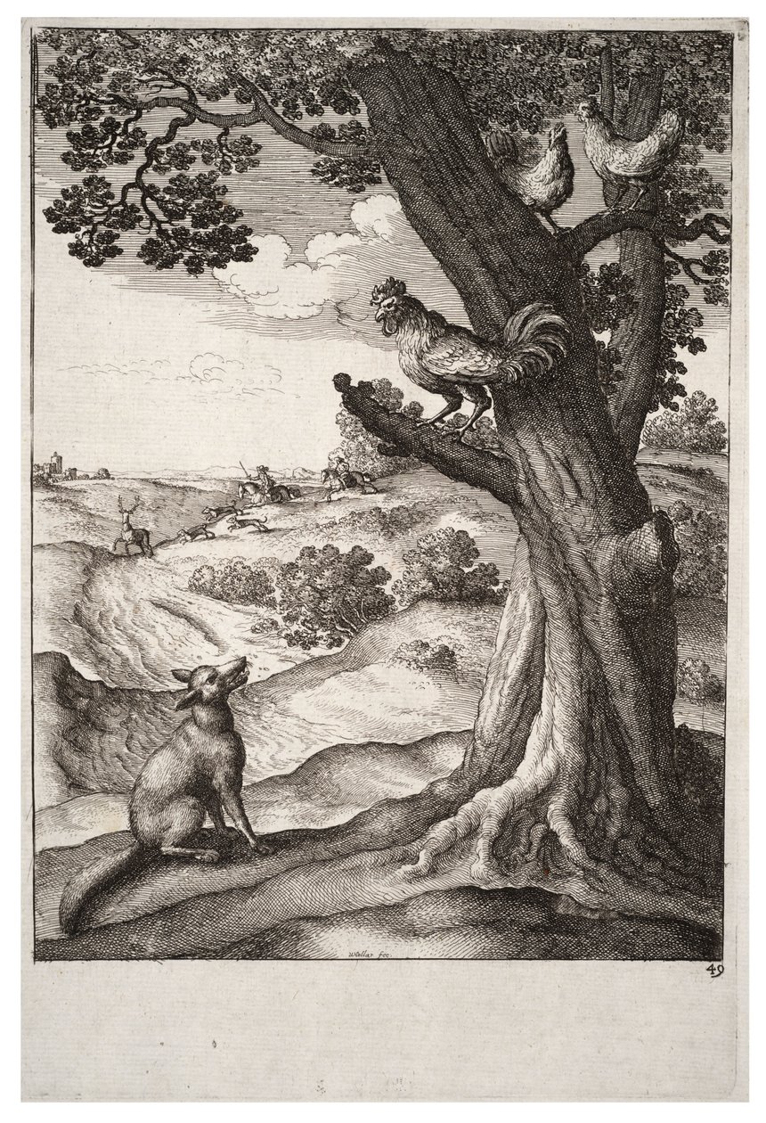 Lis i kogut autorstwa Wenceslaus Hollar