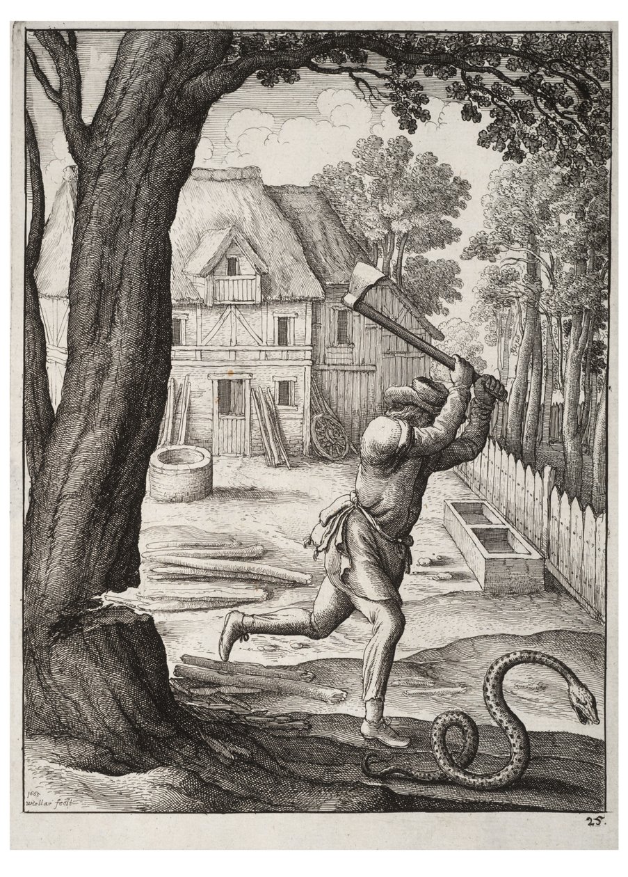 Chłop i wąż autorstwa Wenceslaus Hollar