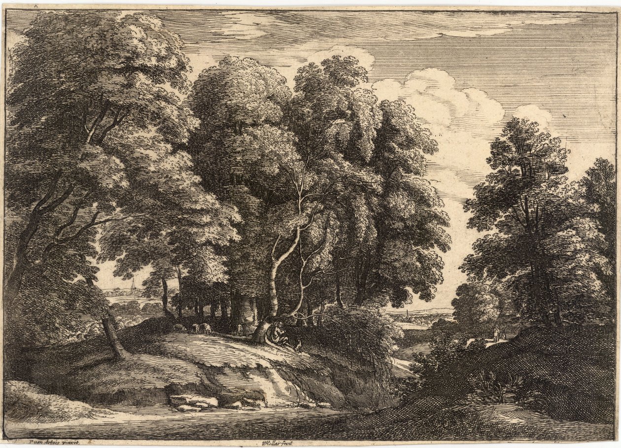 Pasterz w lesie autorstwa Wenceslaus Hollar