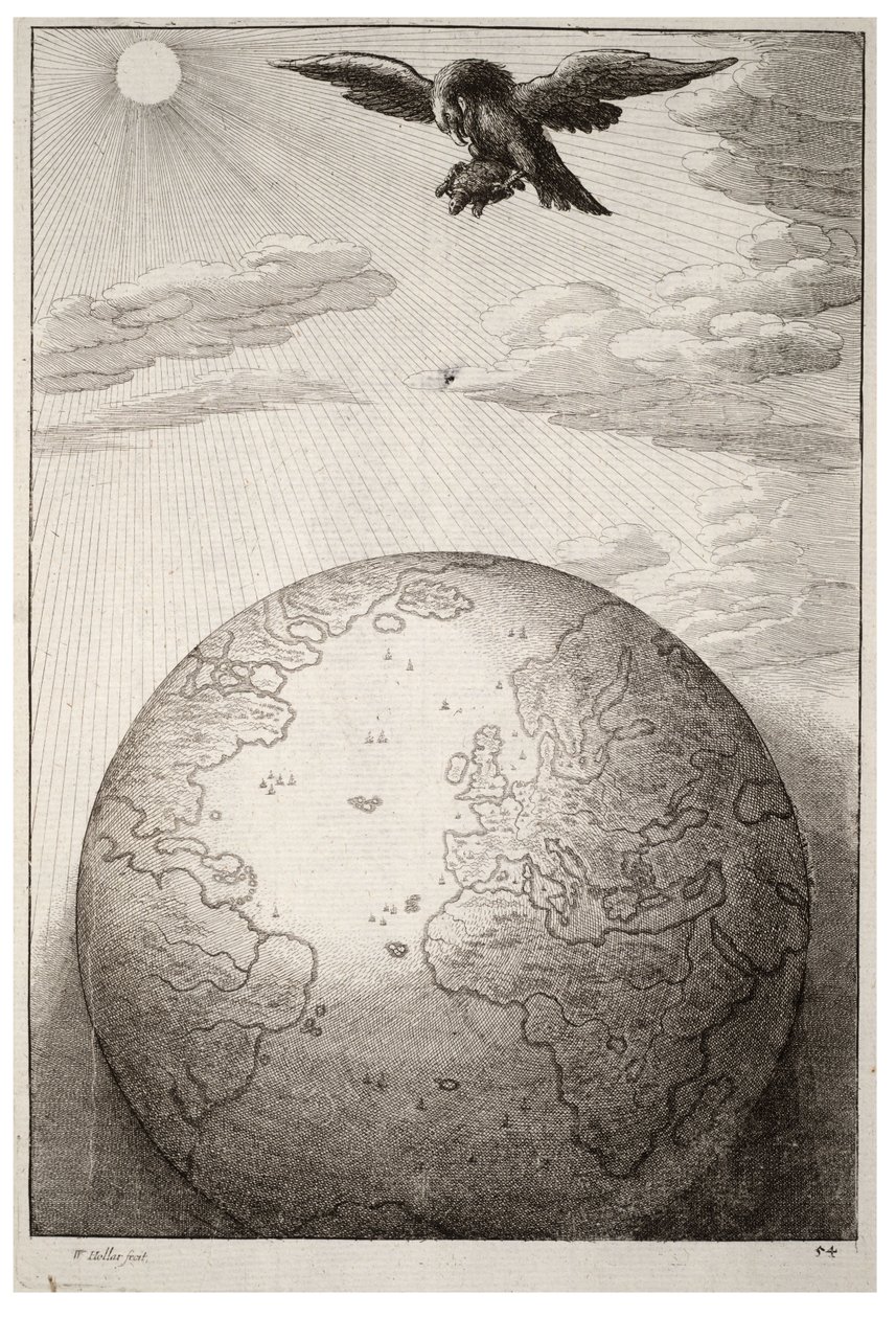 Żółw i orzeł. Stan 1 autorstwa Wenceslaus Hollar