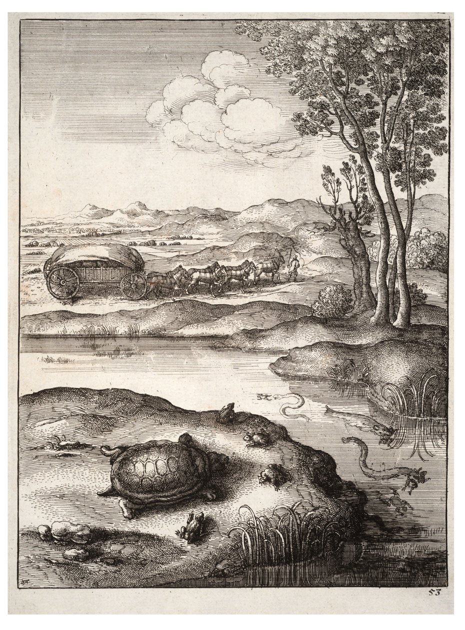 Żółw i żaby autorstwa Wenceslaus Hollar