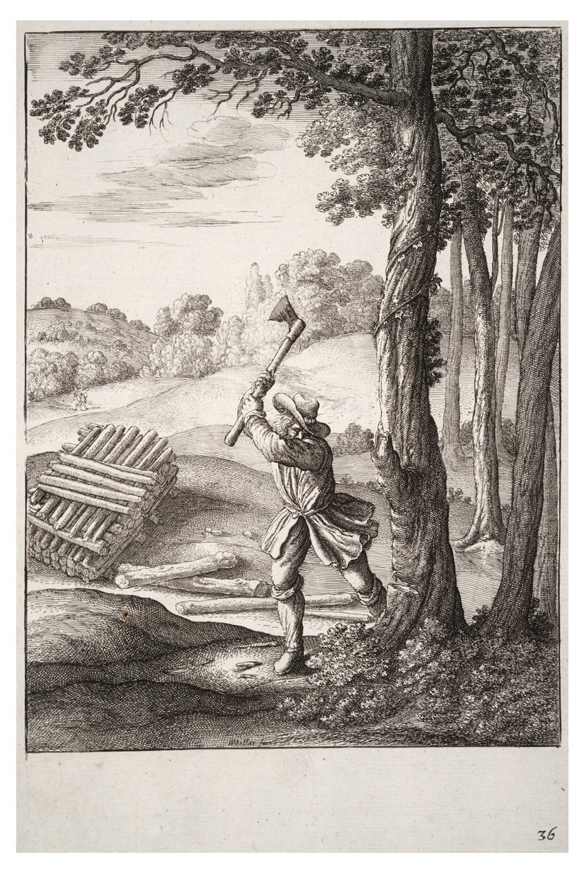 Drzewiarz autorstwa Wenceslaus Hollar
