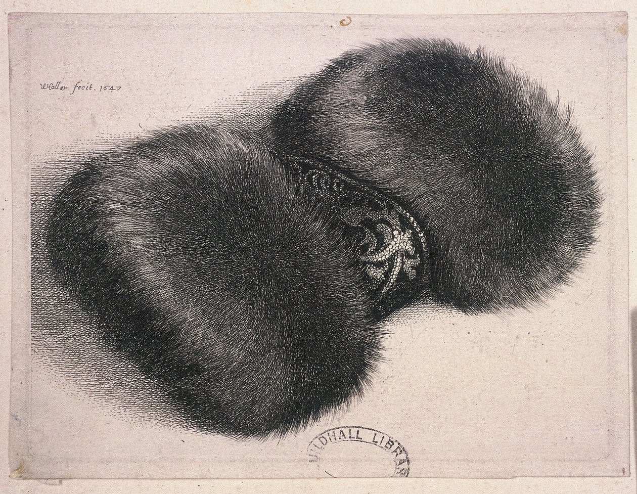 Duża mufka z wstęgą brokatu, 1647 autorstwa Wenceslaus Hollar