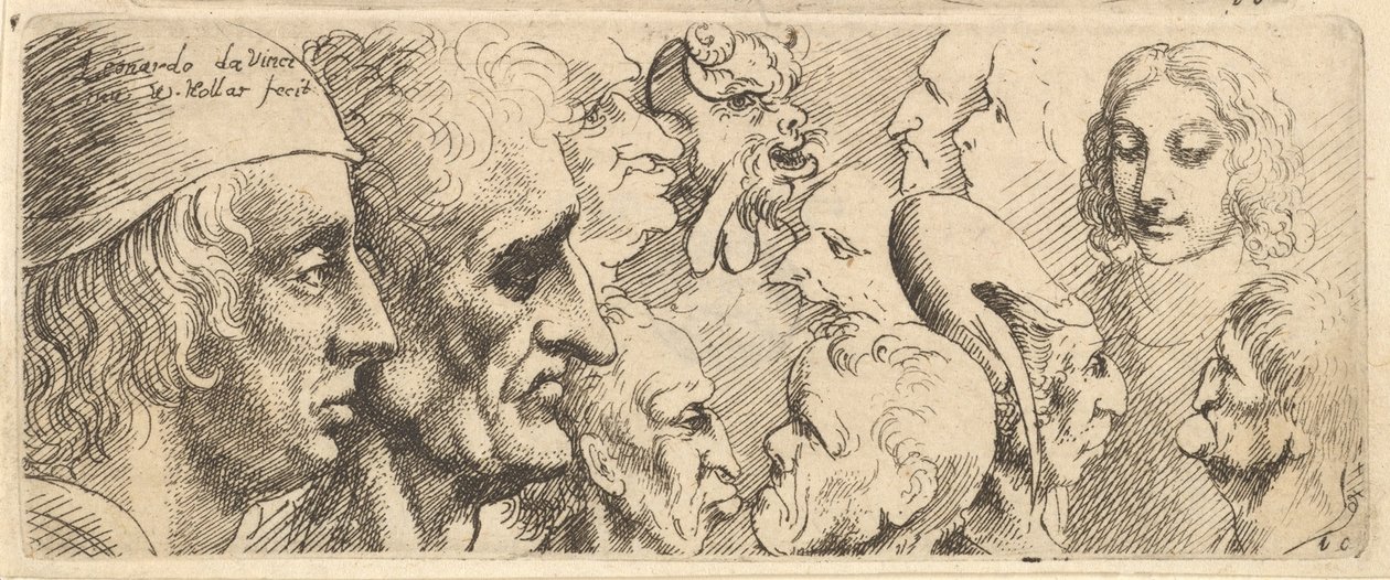 Różne głowy, 1625-77. autorstwa Wenceslaus Hollar