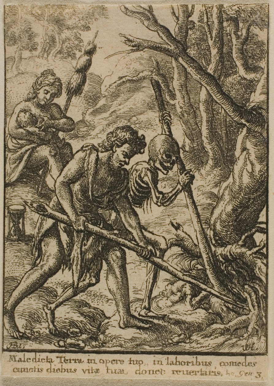 Adam Orka autorstwa Wenceslaus Hollar