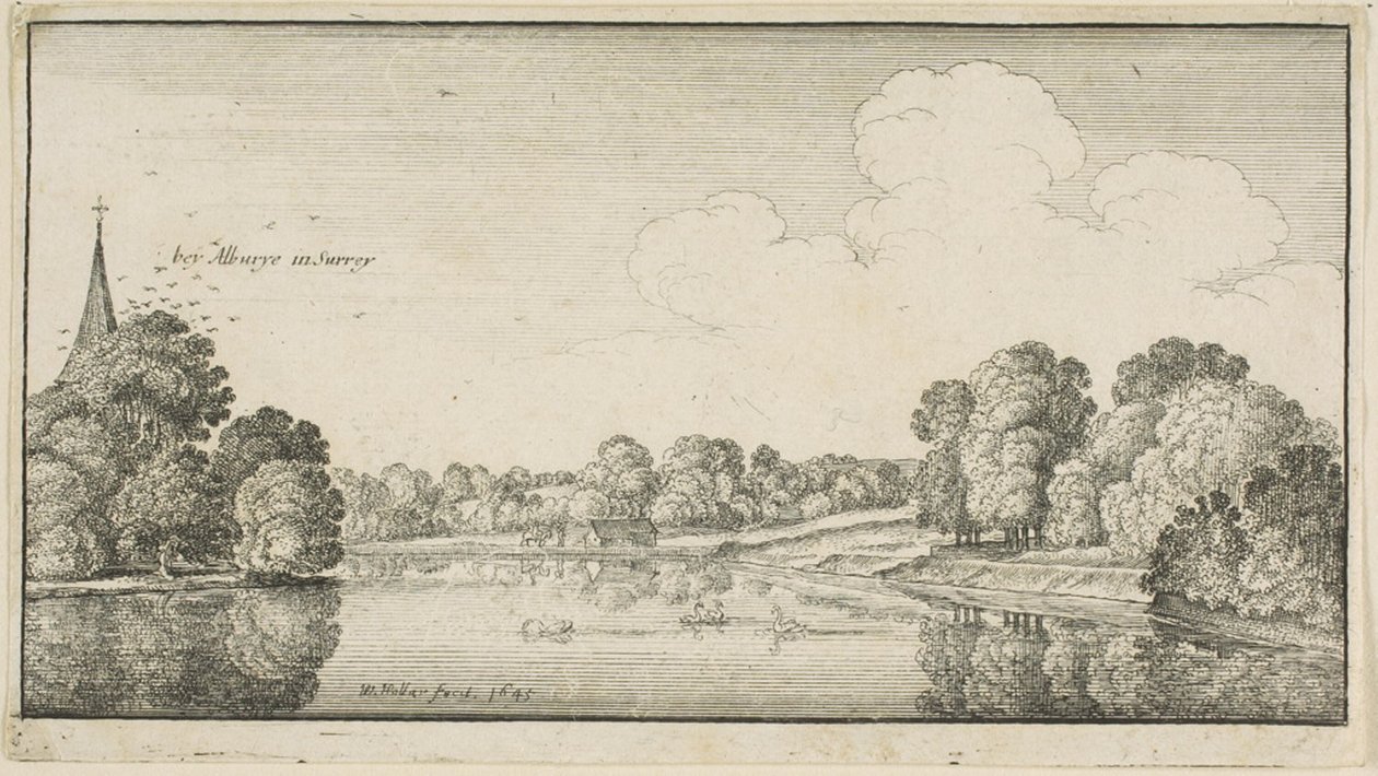 Albury autorstwa Wenceslaus Hollar