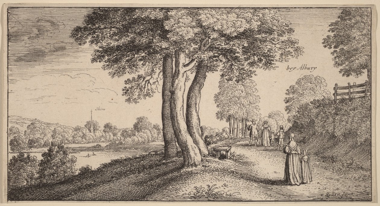 Albury autorstwa Wenceslaus Hollar