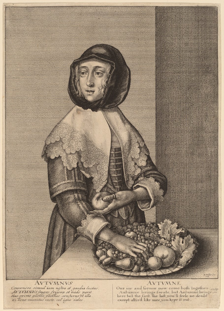 Jesień autorstwa Wenceslaus Hollar