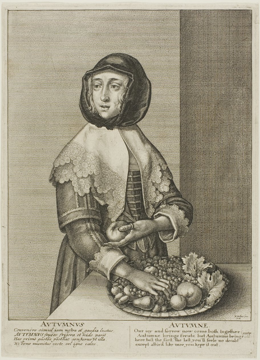 Jesień autorstwa Wenceslaus Hollar