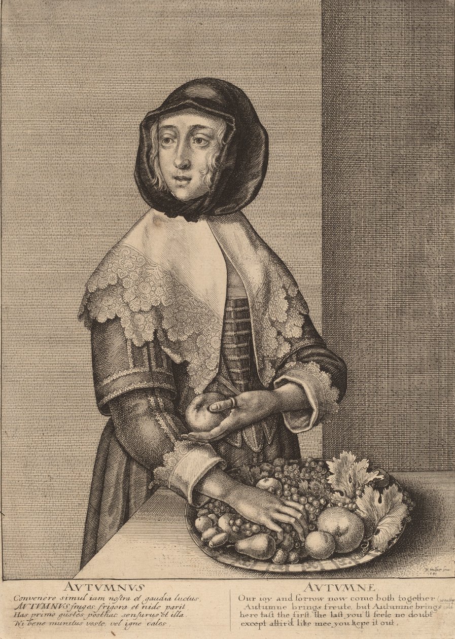 Jesień 1641. autorstwa Wenceslaus Hollar