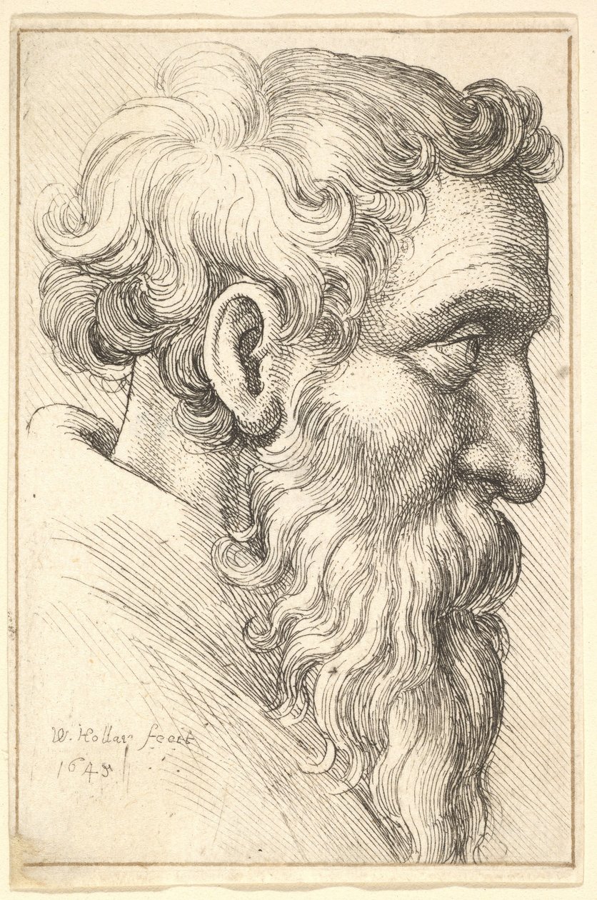 Brodaty starzec z profilu po prawej, 1645. autorstwa Wenceslaus Hollar