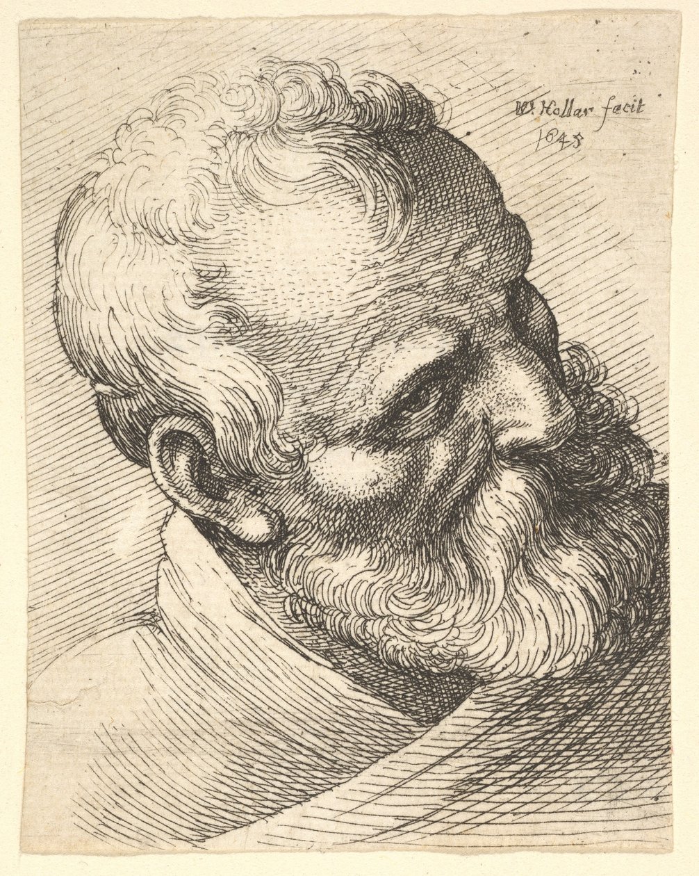 Brodaty starzec z pochyloną głową, 1645. autorstwa Wenceslaus Hollar