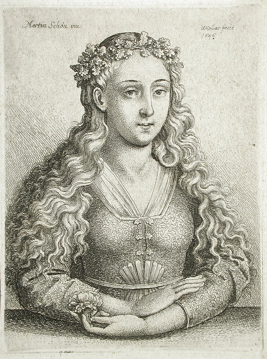 Popiersie kobiety autorstwa Wenceslaus Hollar