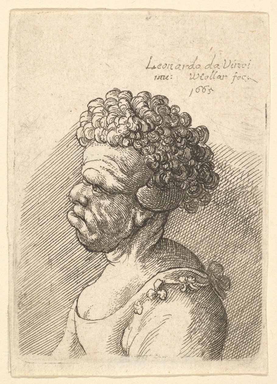 Popiersie zdeformowanej kobiety z kręconymi włosami z profilu po lewej, 1665. autorstwa Wenceslaus Hollar