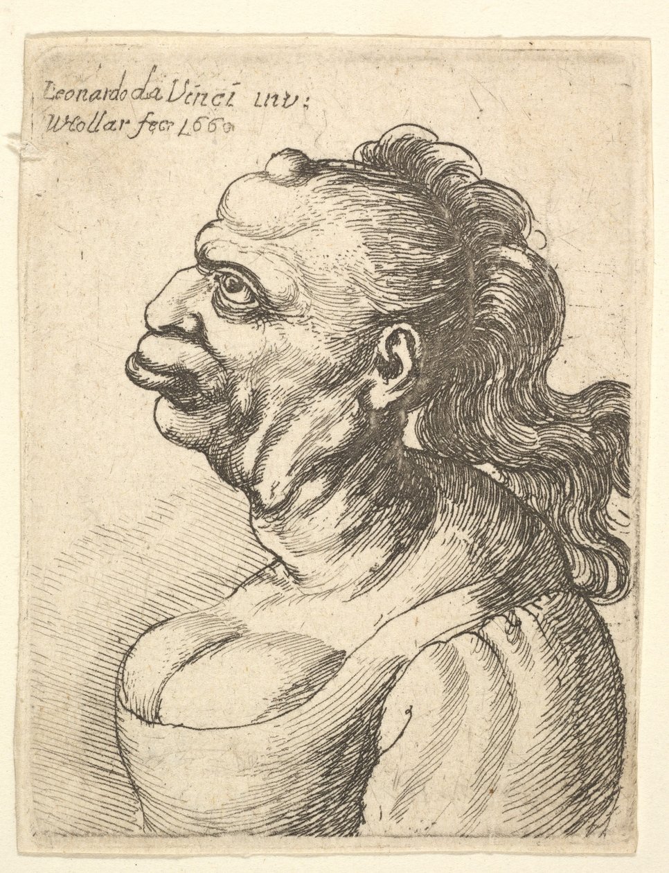 Popiersie kobiety w wydekoltowanej sukience, z wystającą wargą, narośl na czole, prom..., 1660. autorstwa Wenceslaus Hollar