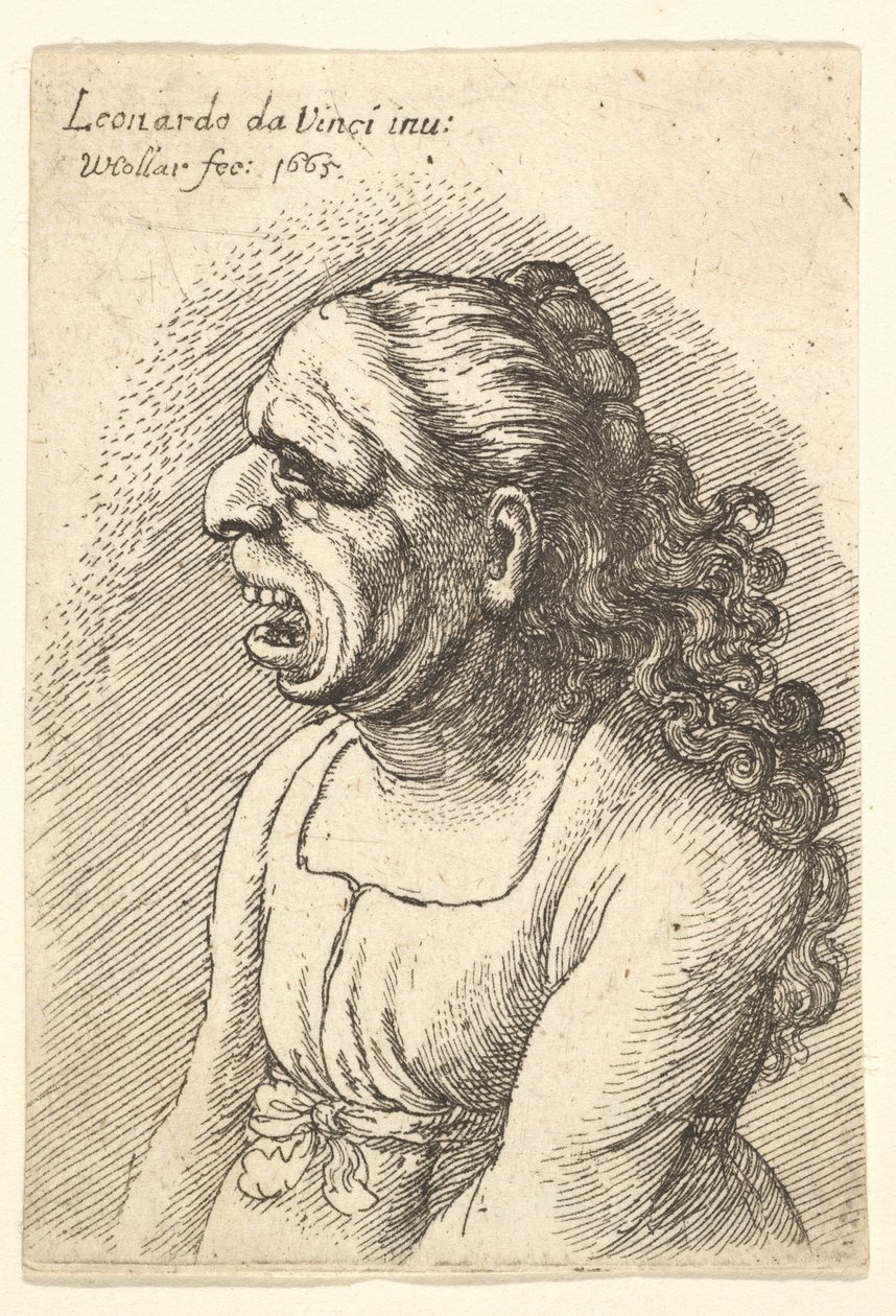 Popiersie kobiety z szeroko otwartymi ustami i długimi kręconymi włosami opadającymi na ramiona, ubrana w..., 1665. autorstwa Wenceslaus Hollar