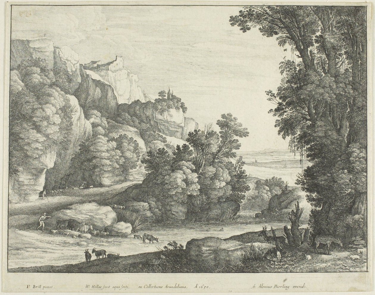 Picie bydła autorstwa Wenceslaus Hollar