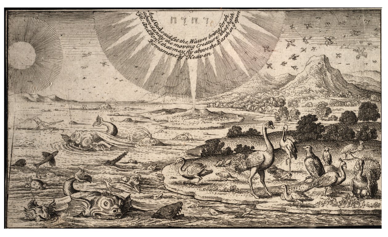 Stworzenie ptaków i ryb. Stan 1 autorstwa Wenceslaus Hollar