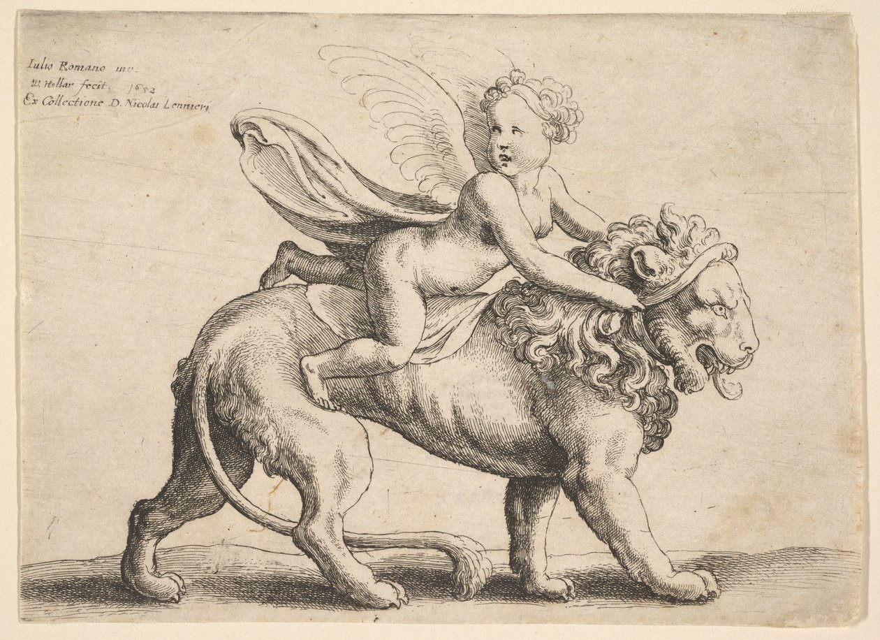 Kupidyn na lwie, 1652. autorstwa Wenceslaus Hollar