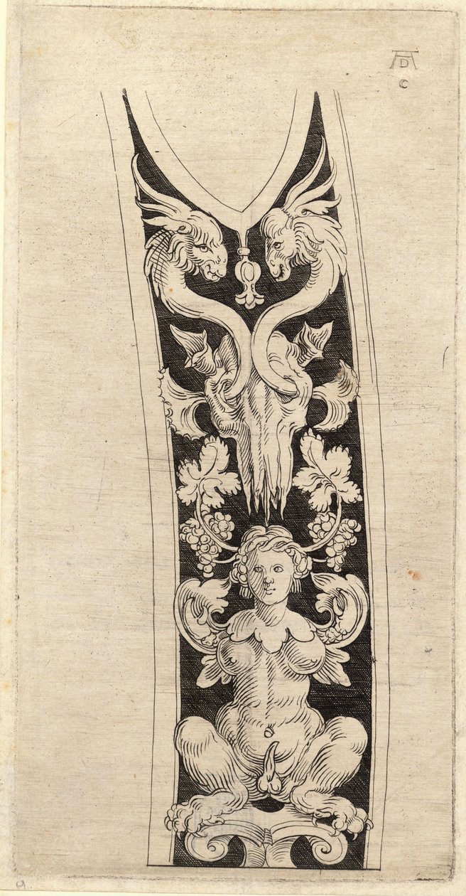 Projekt pochwy, z rysunku Albrechta Durera autorstwa Wenceslaus Hollar