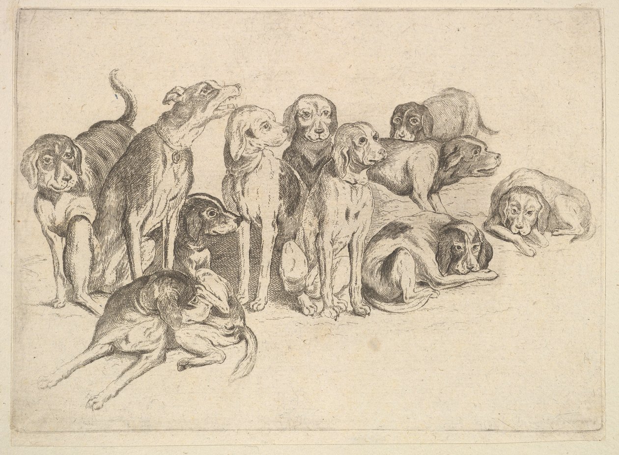 Jedenaście psów gończych autorstwa Wenceslaus Hollar