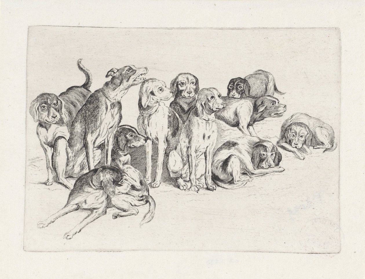 Jedenaście psów myśliwskich autorstwa Wenceslaus Hollar