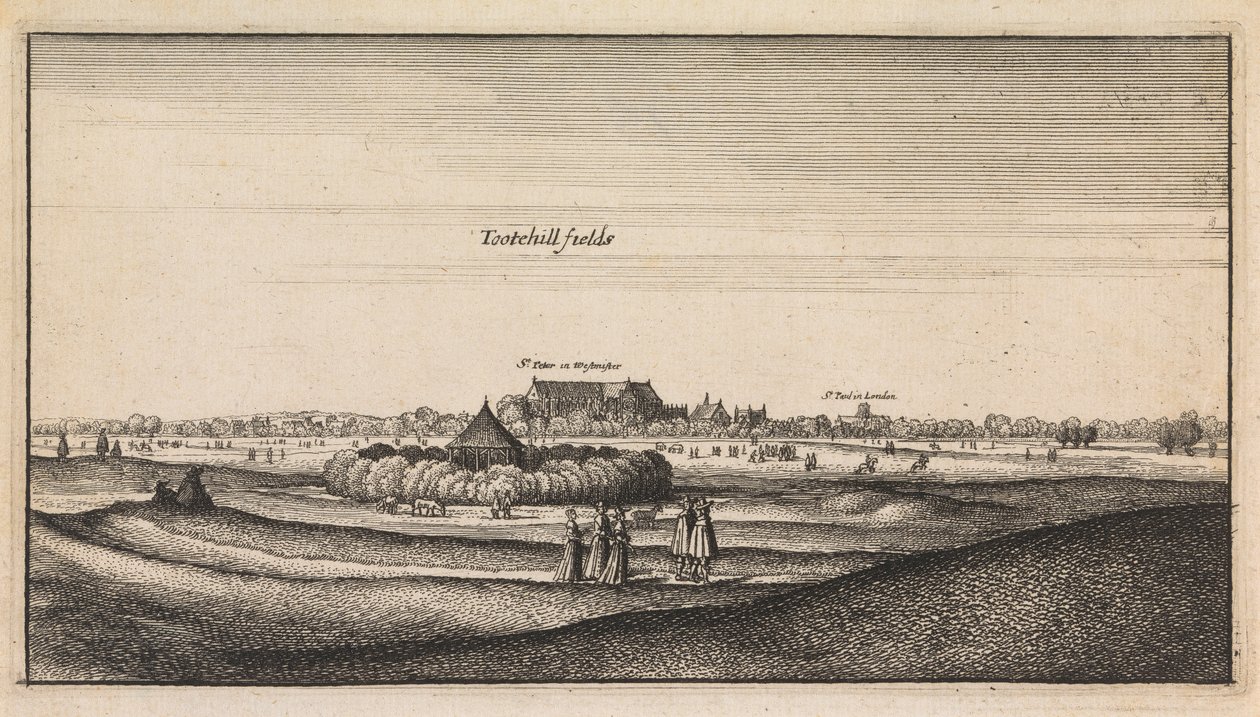 Angielskie widoki: Tootehill Fields autorstwa Wenceslaus Hollar