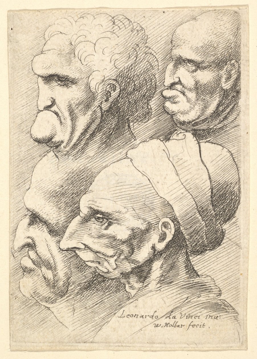 Cztery groteskowe głowy z profilu po lewej, 1625-77. autorstwa Wenceslaus Hollar