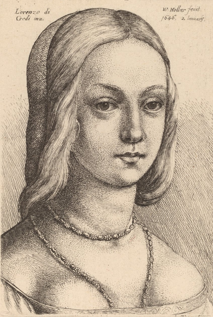 Głowa kobiety patrząc w prawo. autorstwa Wenceslaus Hollar