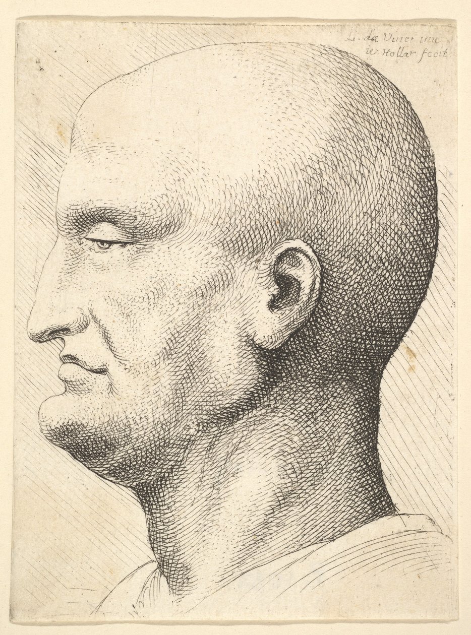 Głowa łysego mężczyzny z profilu po lewej, 1644-52. autorstwa Wenceslaus Hollar