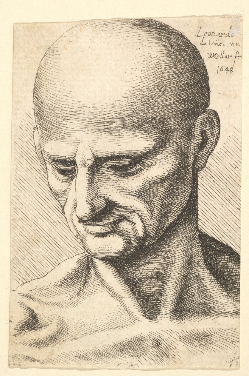 Głowa łysego, muskularnego mężczyzny patrzącego w dół, 1648. autorstwa Wenceslaus Hollar