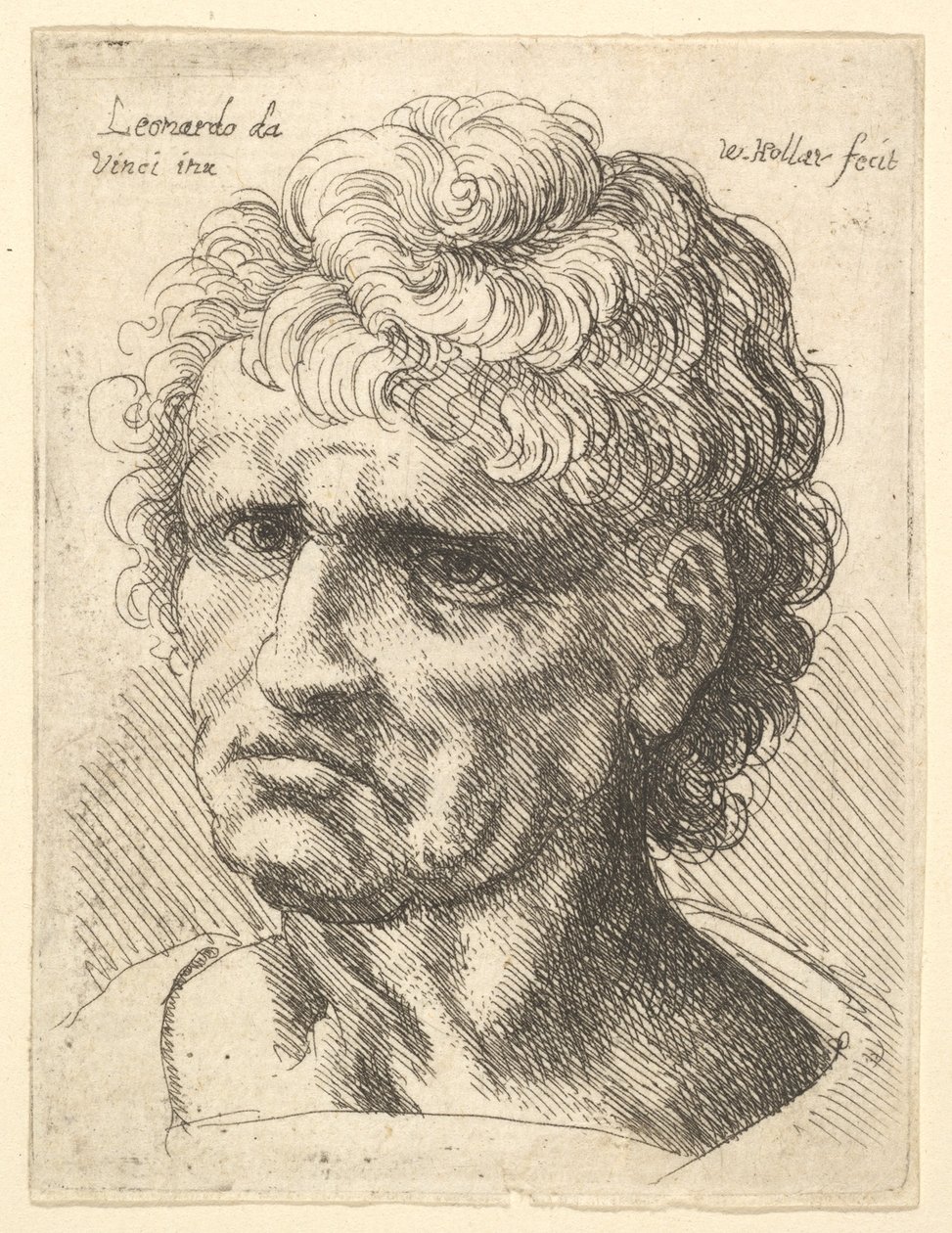 Głowa mężczyzny o poważnym wyrazie twarzy, 1625-77. autorstwa Wenceslaus Hollar