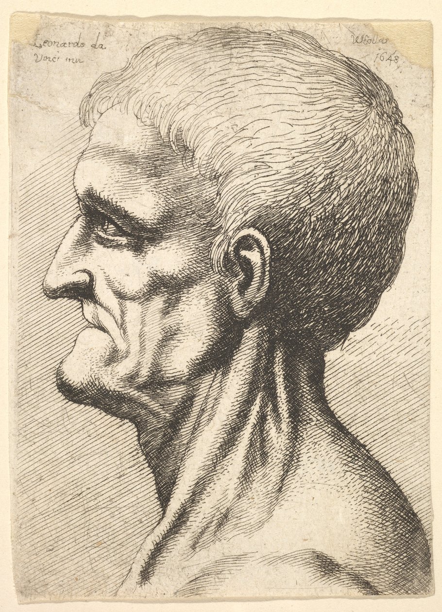 Głowa bezzębnego mężczyzny z nagą, żylastą szyją z profilu po lewej, 1648. autorstwa Wenceslaus Hollar