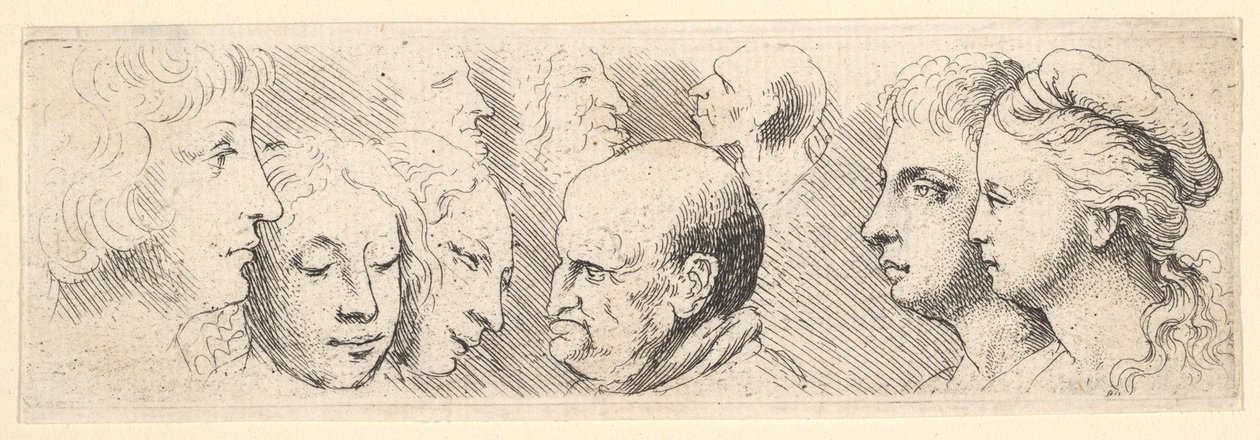 Studia naczelne, 1644-52. autorstwa Wenceslaus Hollar