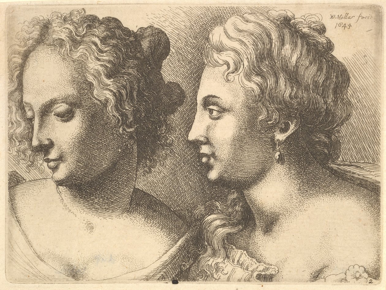 Głowy dwóch młodych kobiet, 1645. autorstwa Wenceslaus Hollar
