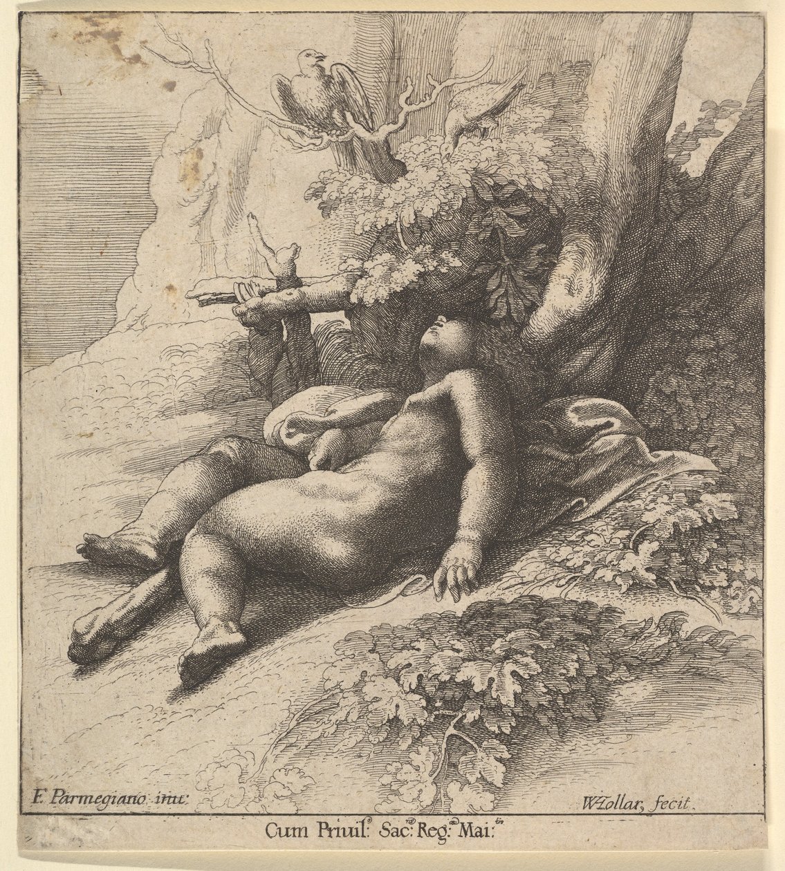Niemowlę Herkules śpi, 1625-77. autorstwa Wenceslaus Hollar