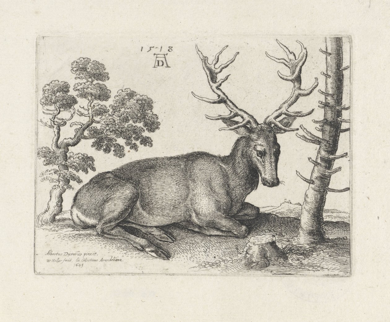 Leżący jeleń w prawo autorstwa Wenceslaus Hollar