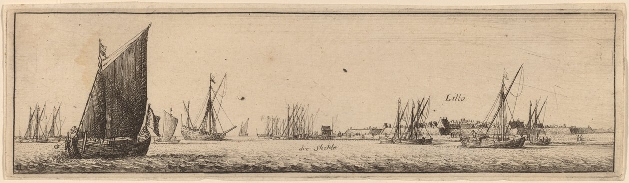 Lillo autorstwa Wenceslaus Hollar